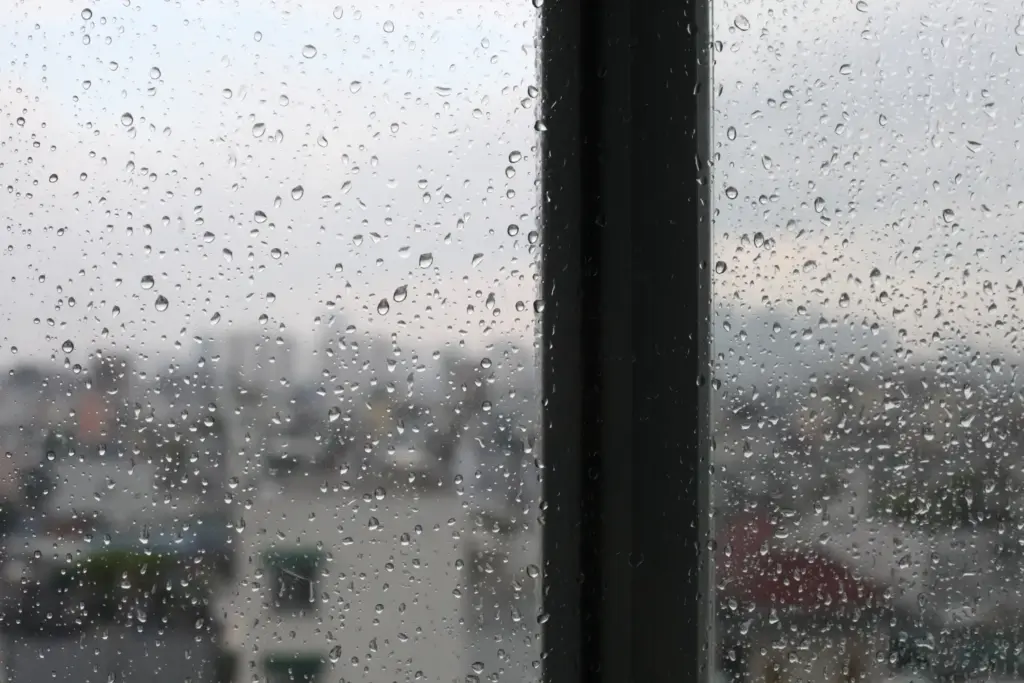 kondenswasser am fenster